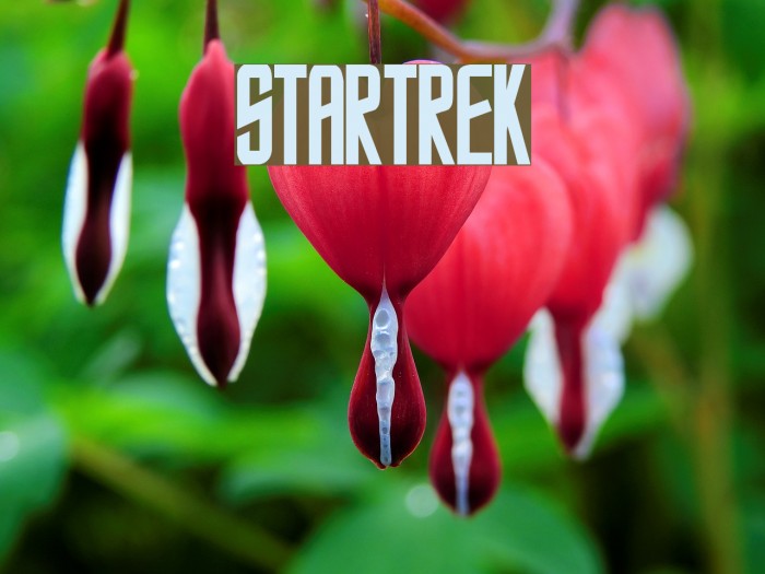 StarTrek Font examples