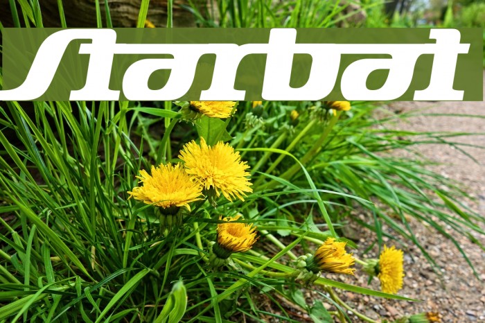 Starbat Font examples