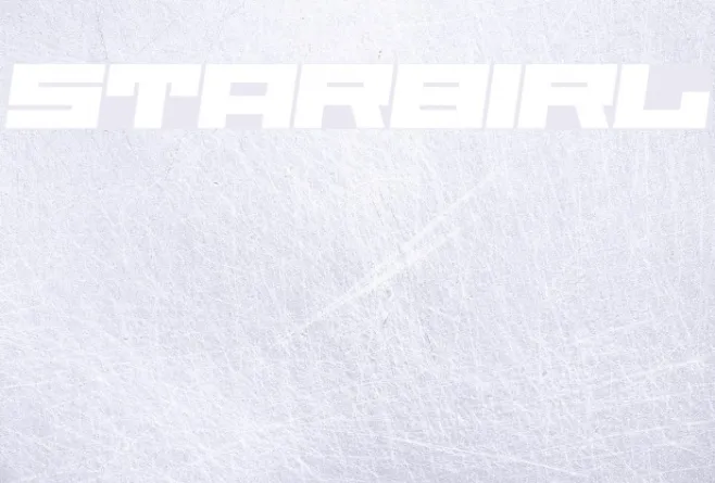 Starbirl Example 2