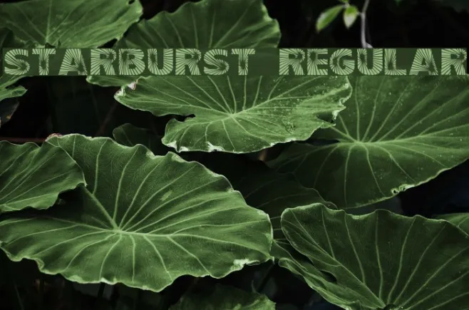 Starburst Regular Example 2