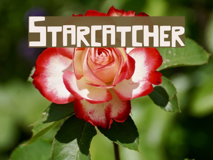 Starcatcher Font examples