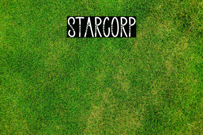 Starcorp Example 3