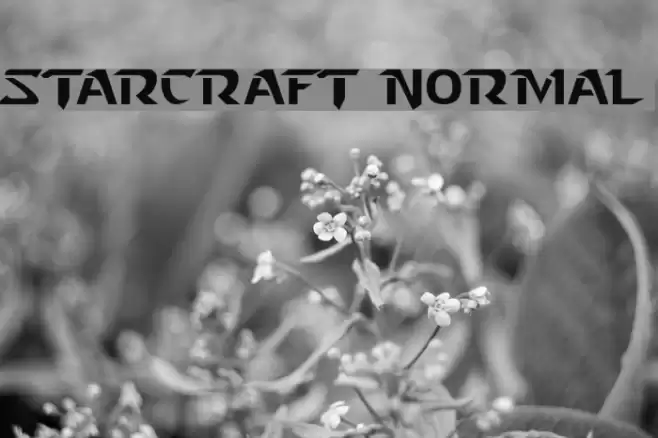 Starcraft Normal フォント examples