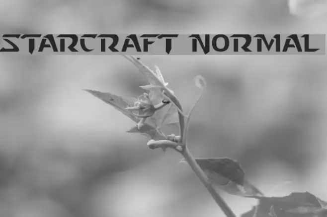 Starcraft Normal フォント examples