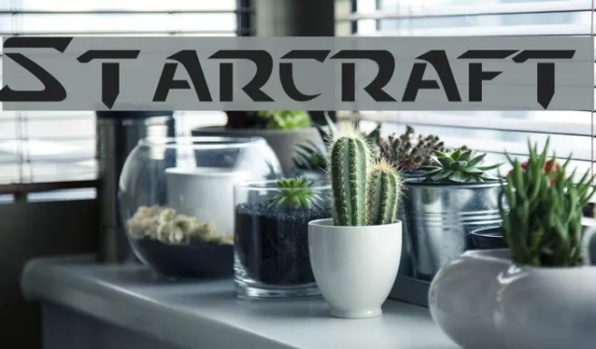 Starcraft Example 1