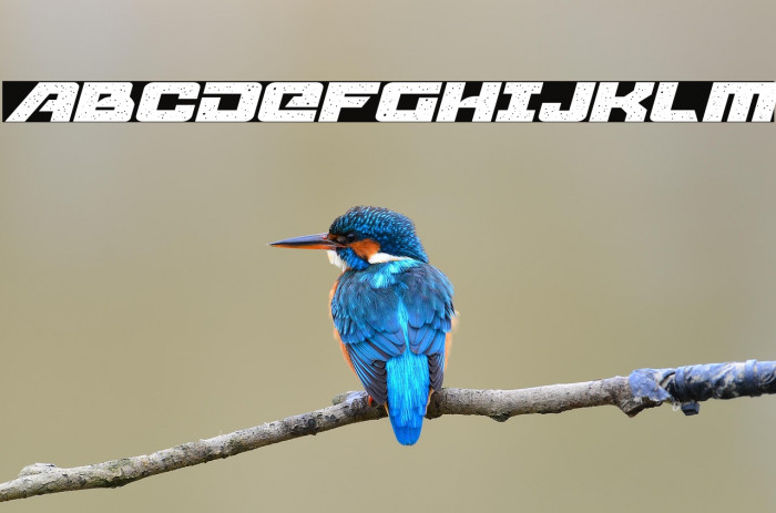 Starcruiser Expanded Italic Example 3