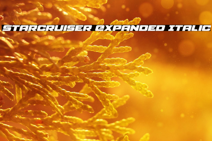 Starcruiser Expanded Italic Example 1
