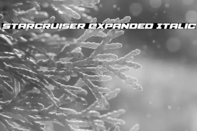 Starcruiser Expanded Italic Font examples