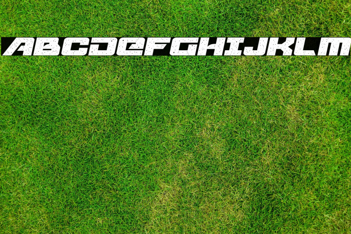 Starcruiser Expanded Semi-Italic Example 1