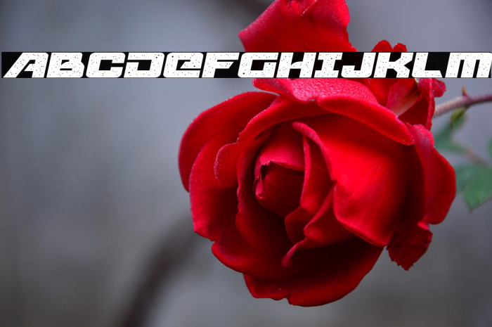 Starcruiser Expanded Semi-Italic Example 2