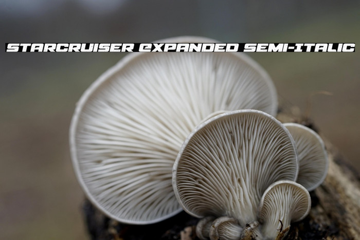 Starcruiser Expanded Semi-Italic Example 2