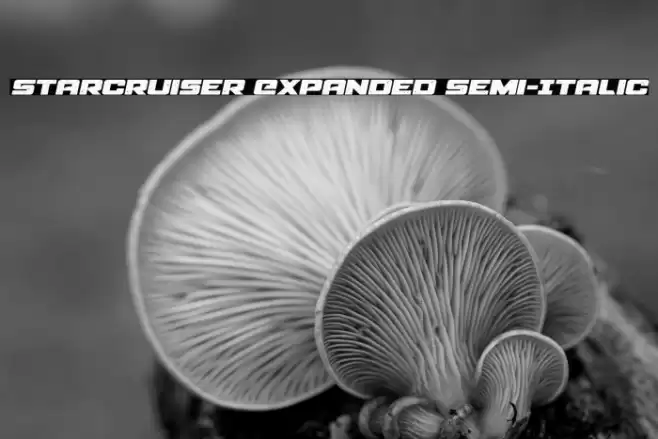Starcruiser Expanded Semi-Italic Font examples