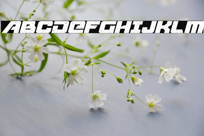 Starcruiser Italic Example 1