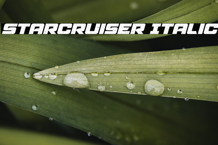 Starcruiser Italic Example 1
