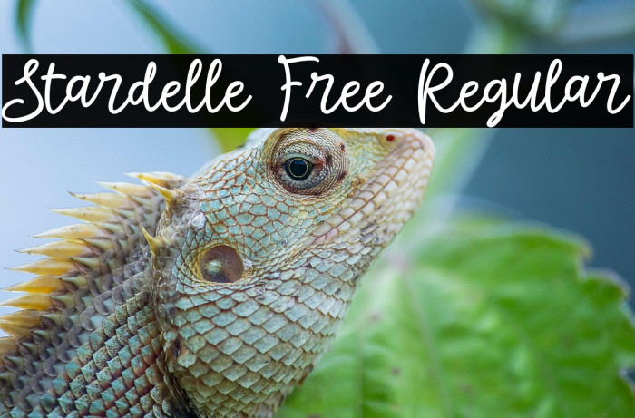 Stardelle Free Regular Example 1