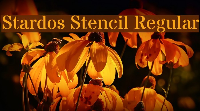 Stardos Stencil Regular Font examples