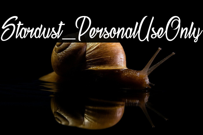 Stardust_PersonalUseOnly Example 3