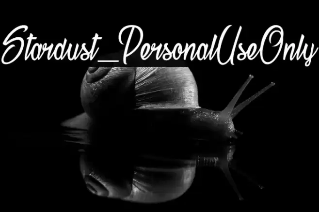 Stardust_PersonalUseOnly Font examples