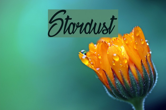 Stardust Font examples
