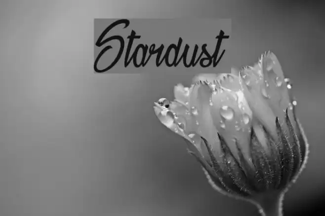 Stardust Font examples