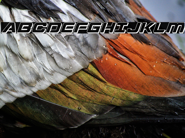 Starduster 3D Italic Example 3