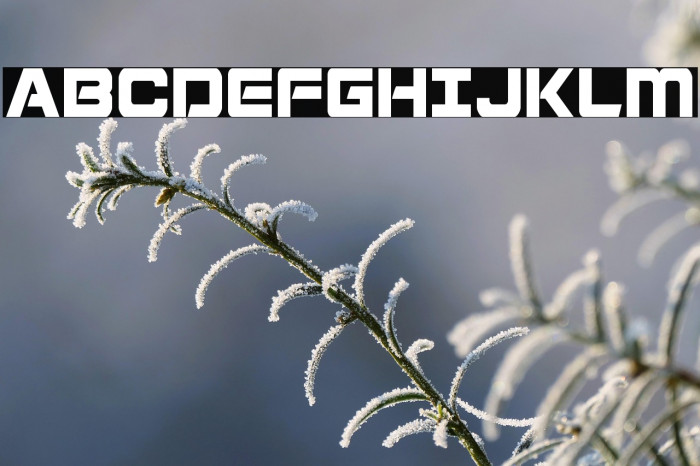 Starduster Condensed Example 1