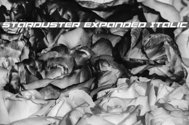 Starduster Expanded Italic Font examples