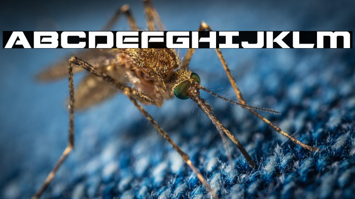 Starduster Expanded Example 2