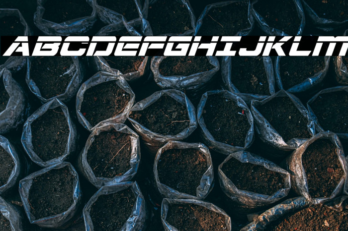 Starduster Laser Italic Example 2