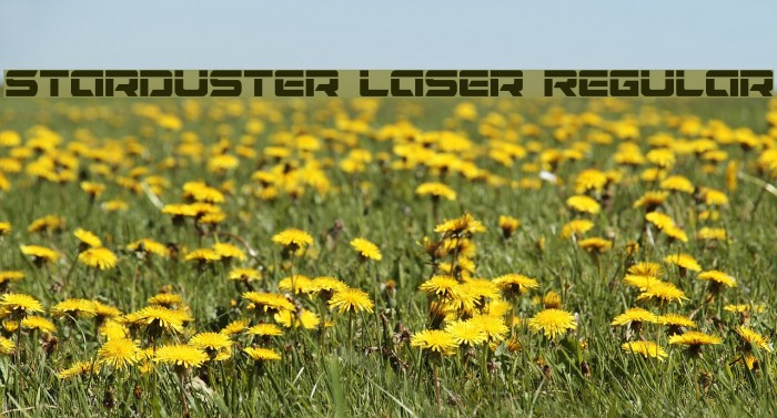 Starduster Laser Regular Example 2