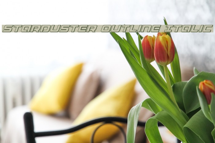 Starduster Outline Italic Font examples