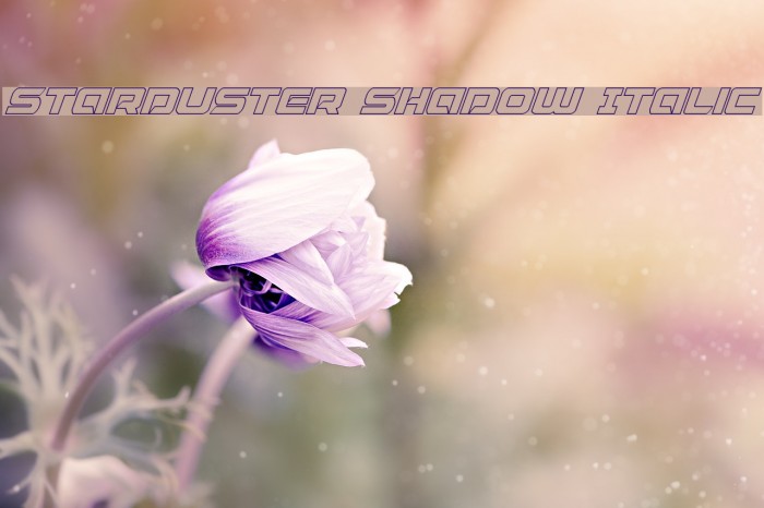 Starduster Shadow Italic Font examples