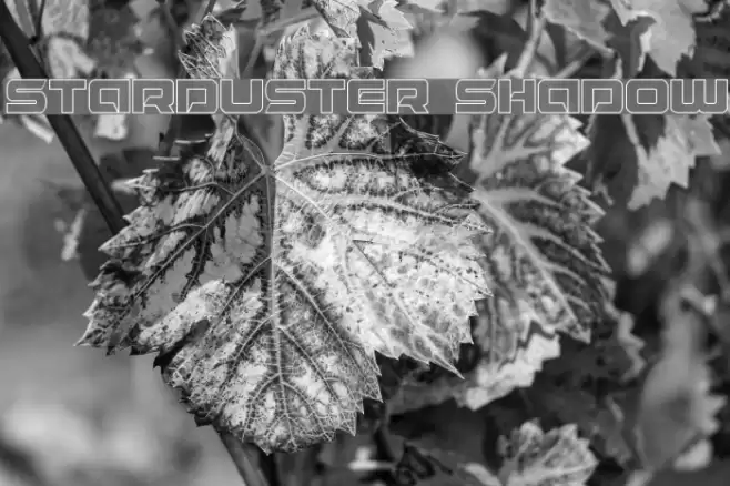 Starduster Shadow Font examples