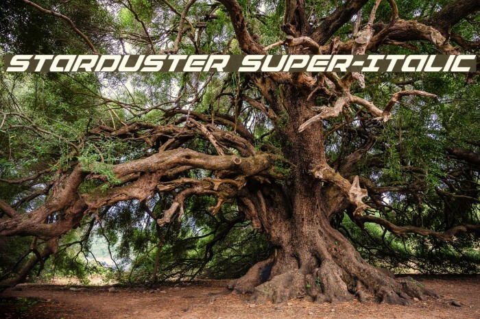 Starduster Super-Italic Example 2