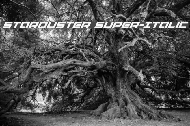 Starduster Super-Italic Font examples