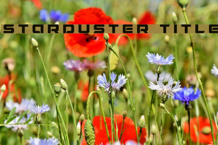 Starduster Title Font examples