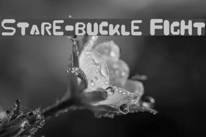 Stare-Buckle Fight Font examples