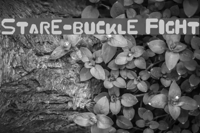 Stare-Buckle Fight Font examples