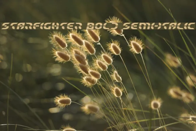 Starfighter Bold Semi-Italic Example 2