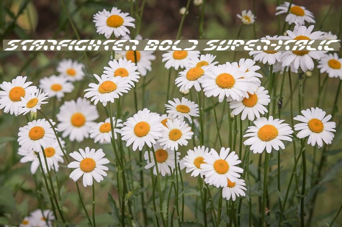 Starfighter Bold Super-Italic Font examples