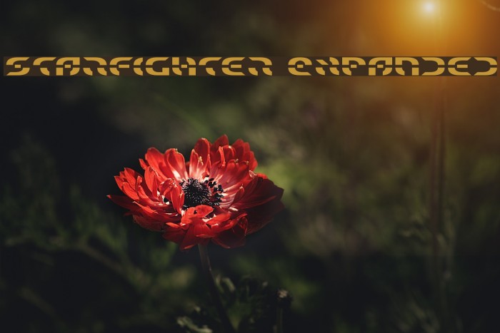 Starfighter Expanded フォント examples