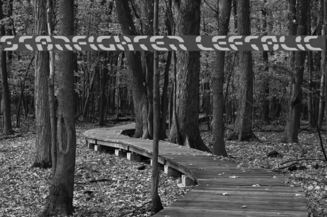 Starfighter Leftalic Font examples