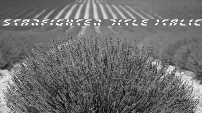 Starfighter Title Italic Font examples