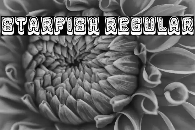 Starfish Regular Font examples