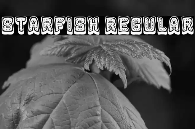 Starfish Regular Font examples
