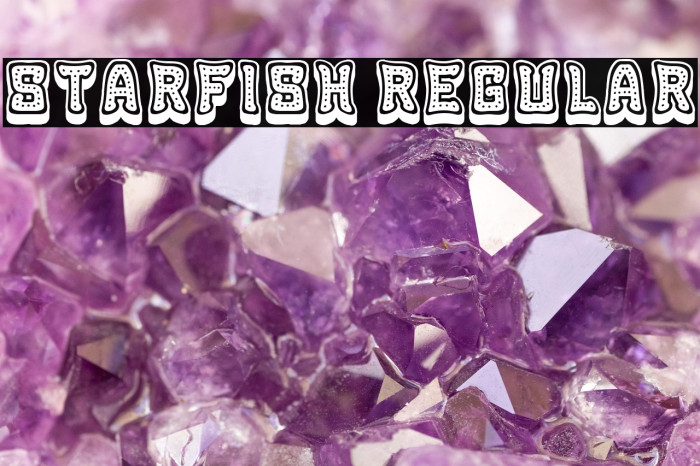 Starfish Regular Example 3