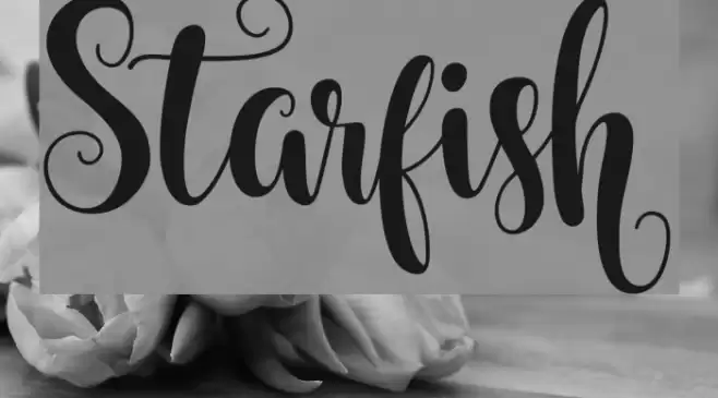 Starfish Font examples