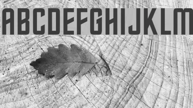 Starfleet Normal Font examples