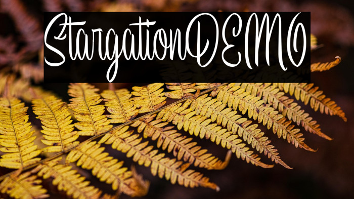 StargationDEMO Example 3