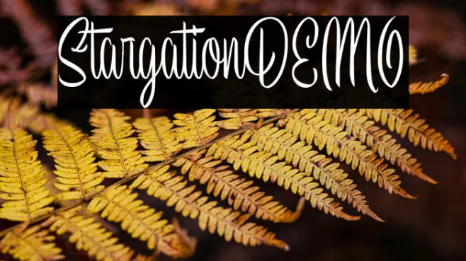 StargationDEMO Example 3